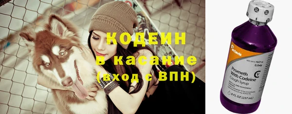 ГАЛЛЮЦИНОГЕННЫЕ ГРИБЫ Елабуга