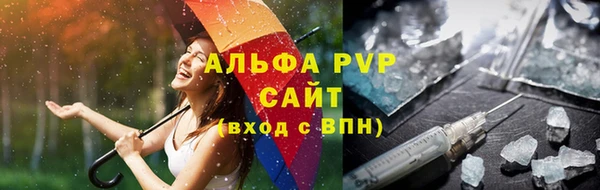 гашик Ельня