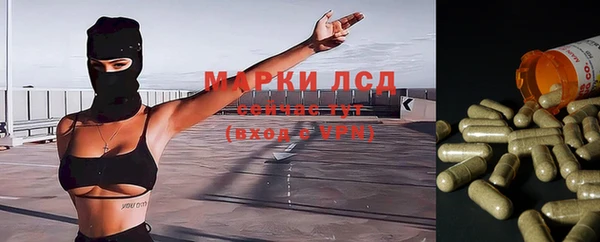 гашик Ельня