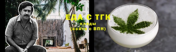 гашик Ельня