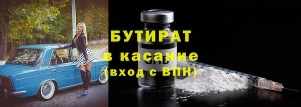 гашик Ельня