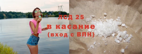 ГАЛЛЮЦИНОГЕННЫЕ ГРИБЫ Елабуга