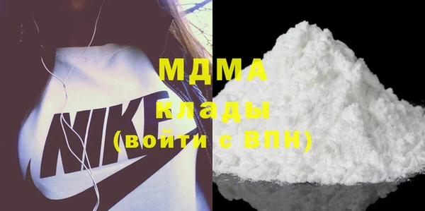 гашик Ельня