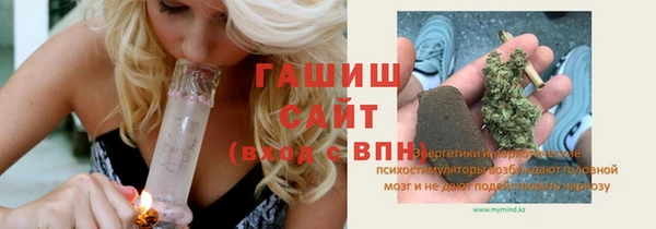 гашик Ельня