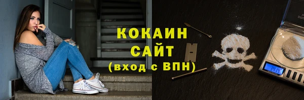 гашик Ельня