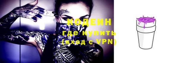 гашик Ельня