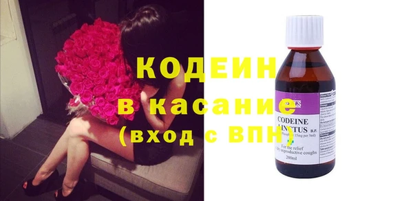 гашик Ельня