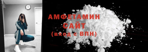 гашик Ельня