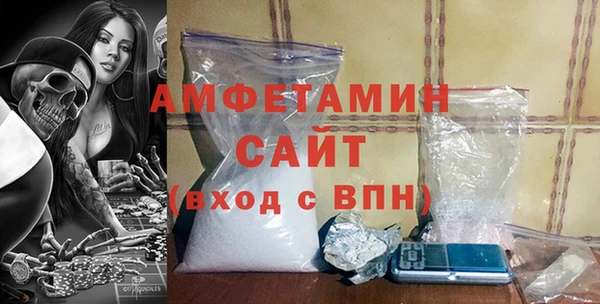 гашик Ельня
