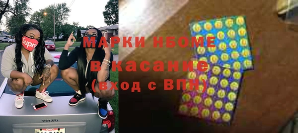 гашик Ельня